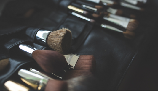 Best 8 Makeup Brushes Type You Need
