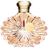 Lalique Soleil Eau de Parfum 50ml Spray