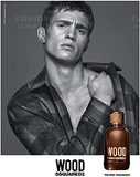 DSquared2 Wood For Him Eau de Toilette 30ml Spray