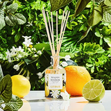 Woods of Windsor Citrus Diffuser 100ml